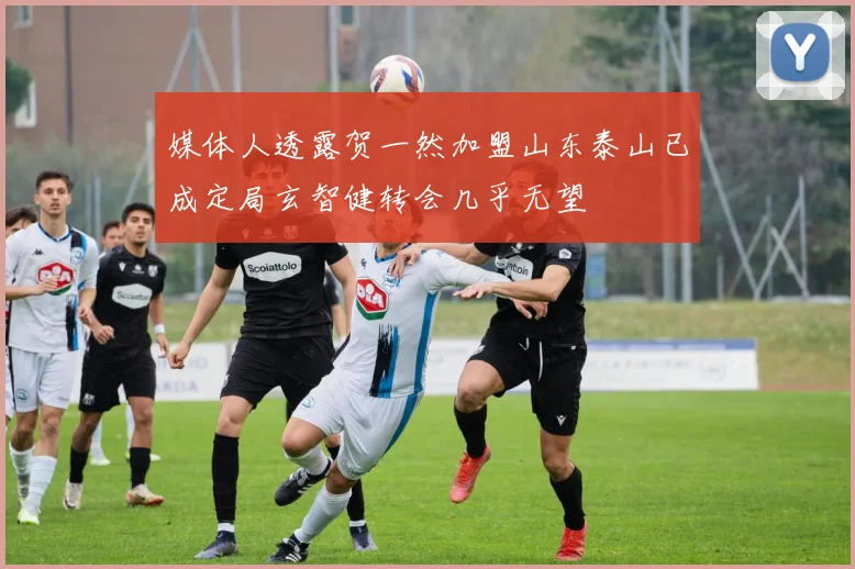 媒体人透露贺一然加盟山东泰山已成定局玄智健转会几乎无望