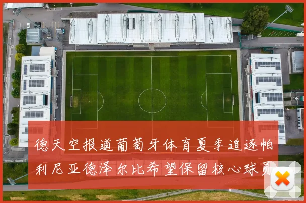 德天空报道葡萄牙体育夏季追逐帕利尼亚德泽尔比希望保留核心球员